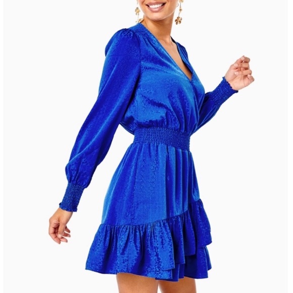 NWOT Lilly Pulitzer Cristiana Long Sleeve Dress - Ikat Blue Leopard Size 14 - Picture 6 of 7